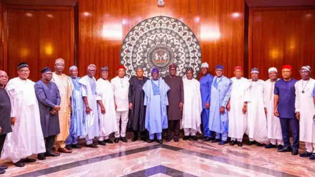 Gwamnonin Najeriya tare da shugaba Tinubu da mataimakinsa Kashim Shettima