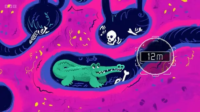 બીબીસી ગુજરાતી 