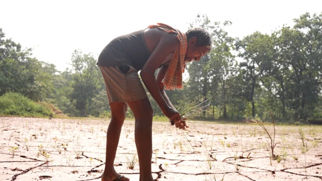 सुरजागडमधील आदिवासी शेतकरी