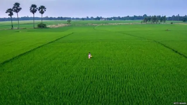 భారత్, థాయ్ సంబంధాలు 