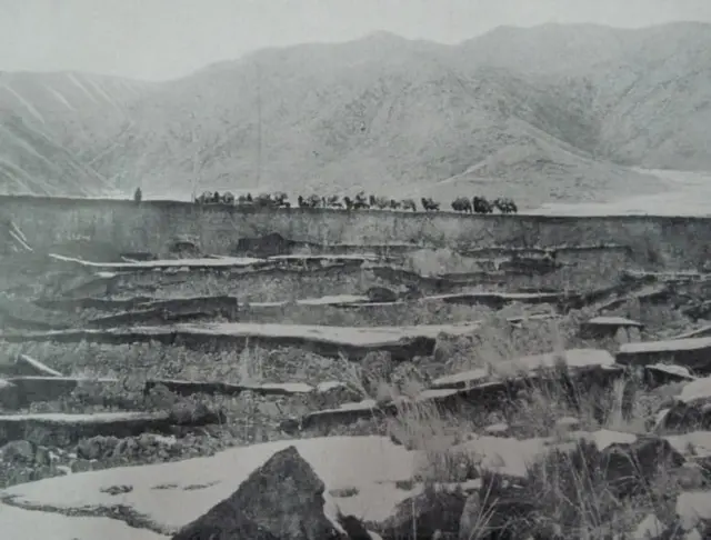 Зилзаланын кесепеттери