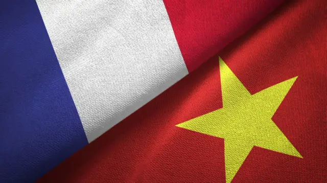 Cờ Pháp và cờ Việt Nam