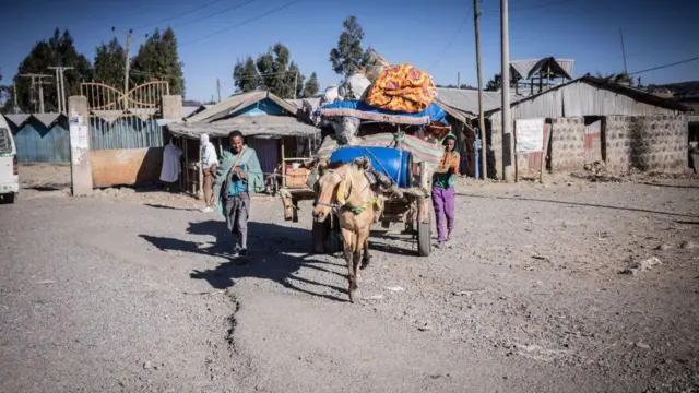 Nama gaarii fardi harkisutti meeshaa manaa fe'atee deemu