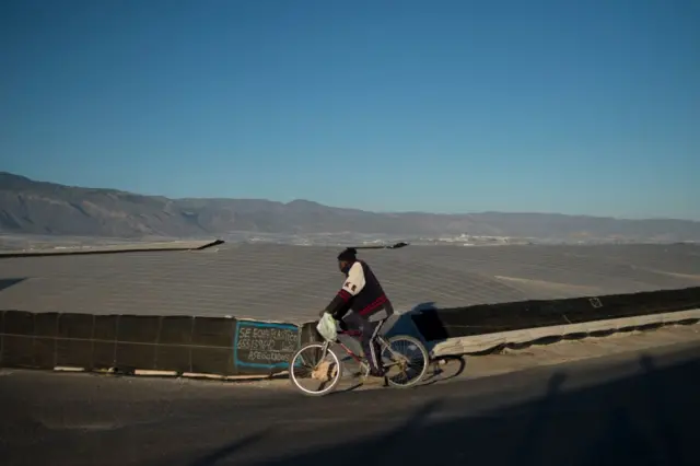 Migrante passando de bicicleta pelas estufas de Almeria