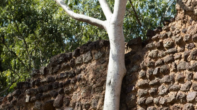 Les remparts de Loropeni, site inscrit au patrimoine mondial de l'UNESCO au Burkina Faso, sont des ruines dont l'âge a été récemment démontré comme étant d'au moins 1 000 ans.