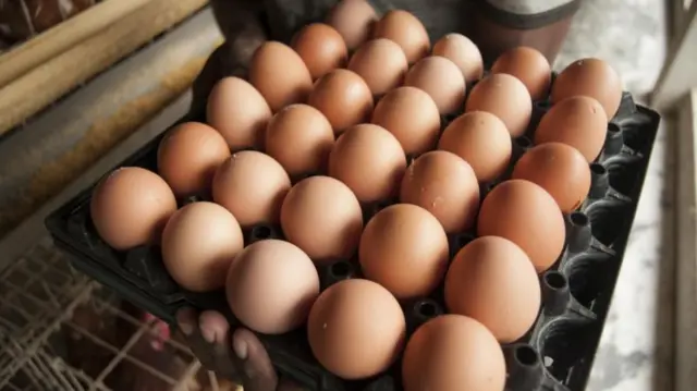 নাগালের বাইরে ডিমের দামও।