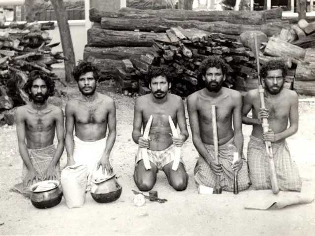 சந்தனக்கடத்தல் வீரப்பன், வரலாறு, தமிழ்நாடு, கர்நாடகா