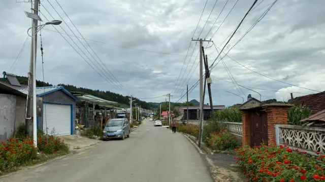 一张在阴天拍摄的中国乡间宁静街道照片。 
