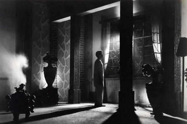 Polsha kokraklari sutyenda