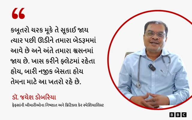 બીબીસી ગુજરાતી કબૂતર દાણા કબૂતરખાના એચપી ફાઈબ્રોસિસ હાઈપરસેન્સિટિવ ન્યુમોનાઈટિસ એલર્જી બીમારી