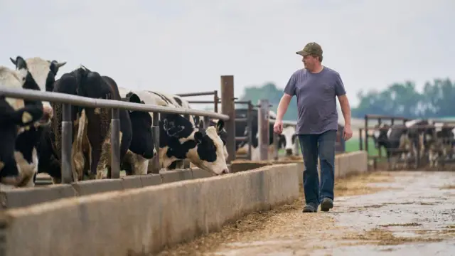 ਸੰਕੇਤਕ ਤਸਵੀਰ