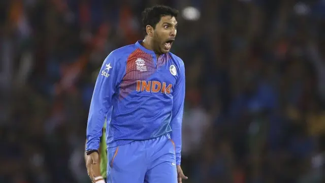 யுவராஜ் சிங், கிரிக்கெட்