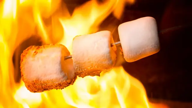 Marshmellows no fogo