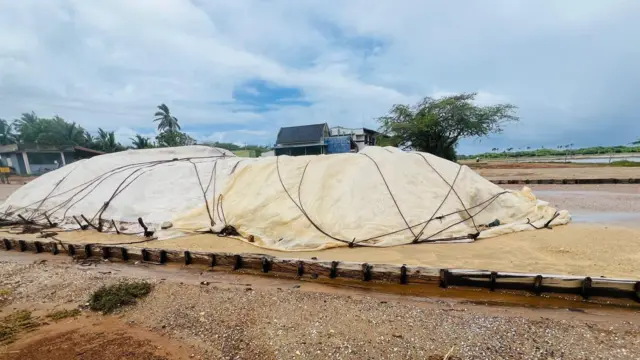 මෙරට ලුණු අවශ්‍යතාවයෙන් සියයට 60ක වෙළෙඳපොළ අවශ්‍යතාවය සපුරනු ලබන්නේ හම්බන්තොට දිස්ත්‍රික්කයේ පිහිටා ඇති ලේවාය තුනෙන් බව ලංකා සෝල්ට් සමාගමේ සභාපතිවරයා පැවසුවේය.