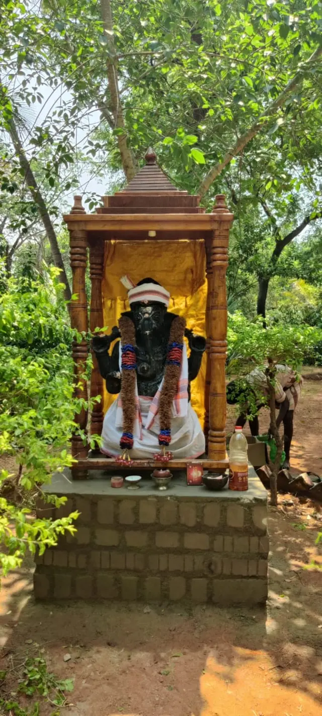 புதுக்கோட்டை மாவட்ட ஆட்சியர் விநாயகர் சிலை விவகாரம்