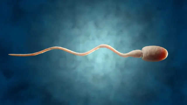 शुक्रकीटको चित्र