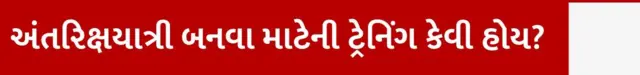 બીબીસી ગુજરાતી, સુનીતા વિલિયમ્સ, અવકાશયાત્રી, અવકાશ, નાસા, ઝુલાસણ, ગુજરાત, 