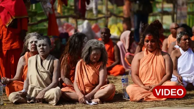 నాగ సాధువు 