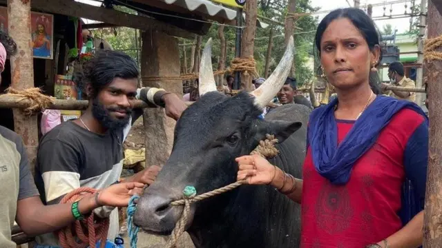 சமீப காலங்களில் பெண்கள் மற்றும் திருநங்கைகள் தாங்கள் வளர்க்கும் காளைகளைத் தாங்களே களத்தில் அவிழ்த்துவிடும் போக்கு அதிகரித்துள்ளது, ஆனால் மாடுபிடி வீரர்களாக ஆண்களே பங்கேற்கின்றனர்