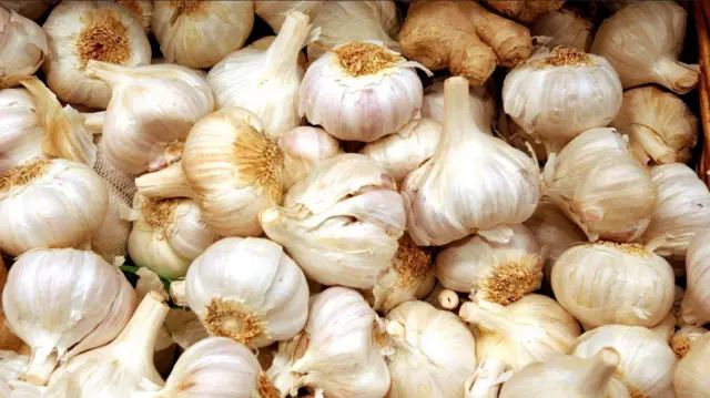 சீன மற்றும் பிலிப்பைன்ஸ் நாட்டுப்புறக் கதைகளில், காட்டேரிகளை விரட்ட பூண்டு பயன்படுத்தப்பட்டதாகக் கூறப்படுகிறது.