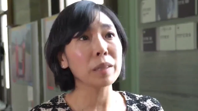 مای ساتو، گزارشگر ویژه شورای حقوق بشر سازمان ملل متحد در امور ایران یک حقوقدان ژاپنی است که کمتر از سه سال پیش به این سمت انتخاب شده است