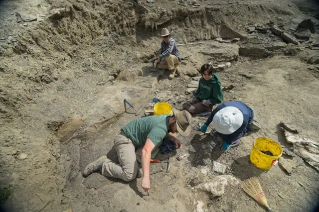 Imagen desde arriba de los investigadores buscando fósiles entre las rocas de una fosa común en un arroyo de Alberta, Canadá.