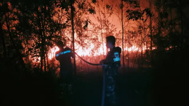 Petugas pemadam Karhutla di Kalimantan.
