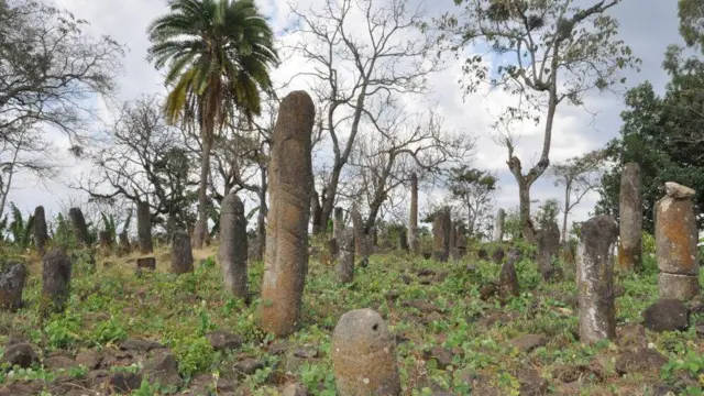 Dhagaa dhaabbii Geede'oo