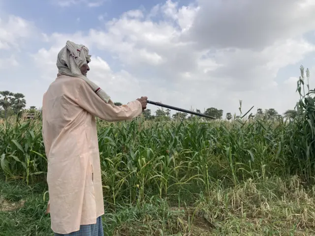 जानकी पासवान बेलछी गांव में उस जगह को दिखाते जहां लोगों को आग में झोंक दिया गया था.