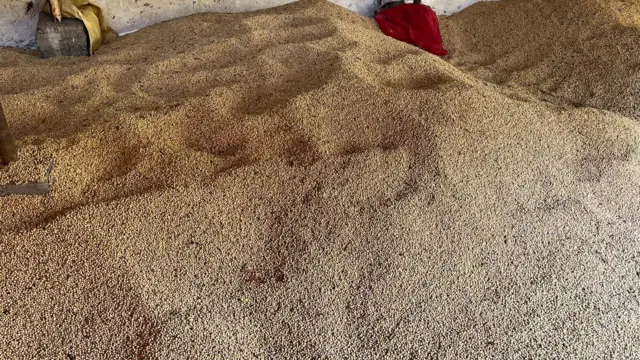 भाववाढीच्या अपेक्षेनं अनेक शेतकरी सोयाबीन साठवून ठेवतात.