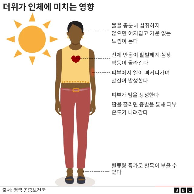 열이 인체에 미치는 영향을 나타낸 그림