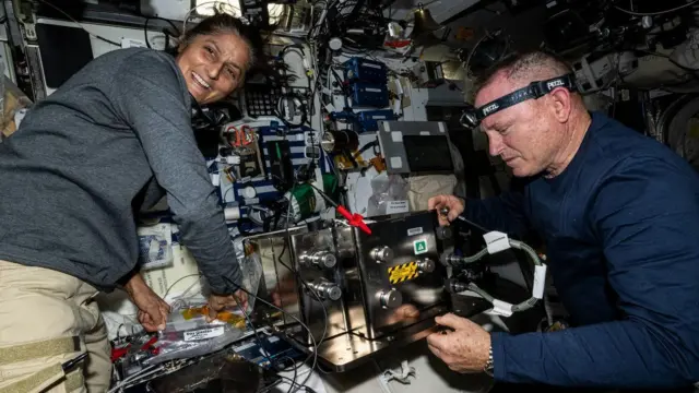 సునీతా విలియమ్స్