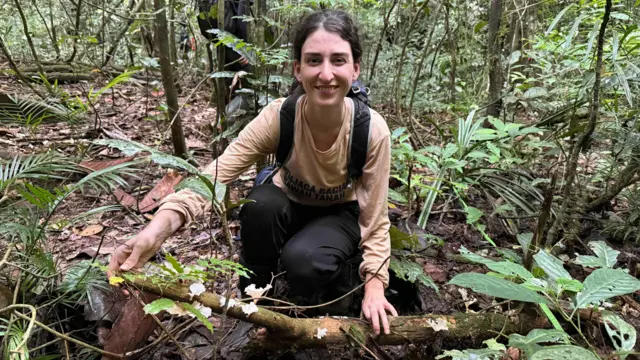 Ragam jamur yang belum teridentifikasi ditemukan di Taman Nasional Bantimurung-Bulusaraung.