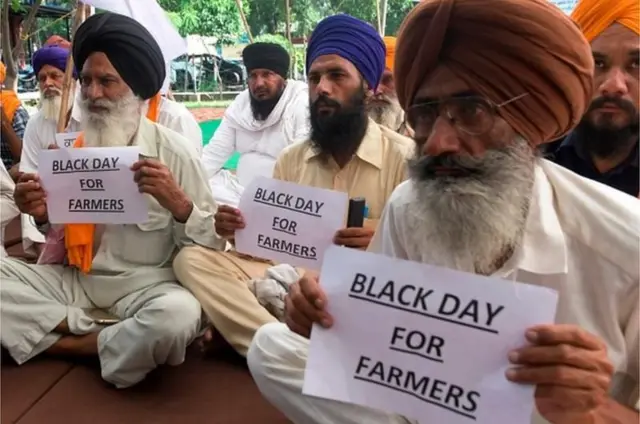 వ్యవసాయం