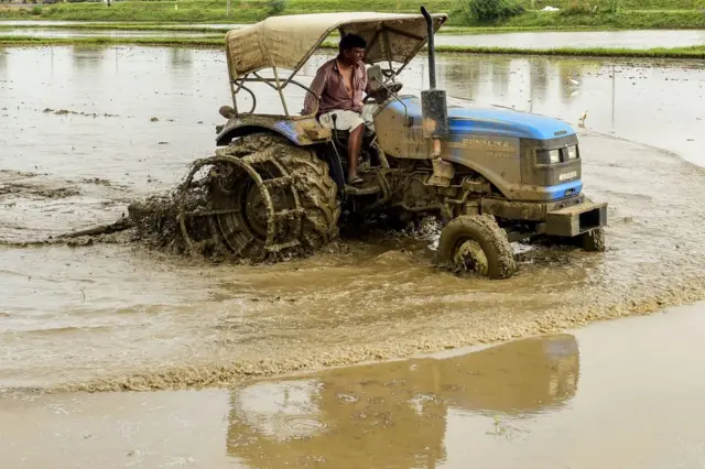 ગુજરાત, ખેડૂતો, પાકવીમો, ઇન્શ્યોરન્સ, ફસલ વીમા યોજના, વળતર, બીબીસી ગુજરાતી