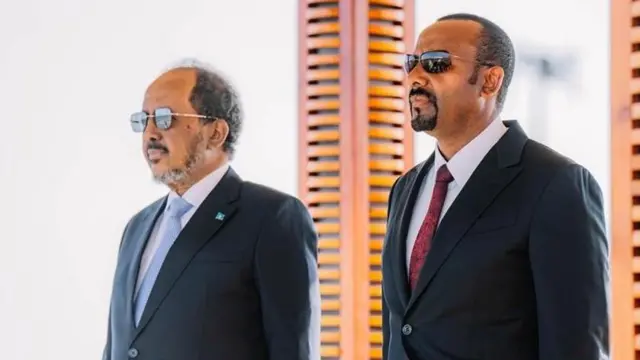 ፕሬዝዳንት ሐሰን ሼክ ሞሐሙድ እና ጠቅላይ ሚኒስት ዐቢይ አሕመድ በአዲስ አበባ 