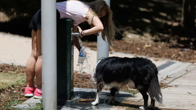 One woman and one dog dey drink water from one fountain for Madrid park