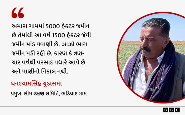 ભડિયાદ ગામ, ગુજરાત, ખેતી, બીબીસી ગુજરાતી