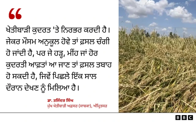 ਖੇਤੀਬਾੜੀ