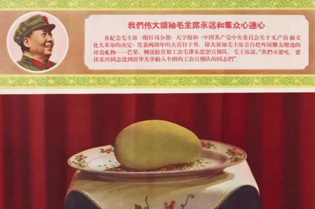 మామిడి పండు