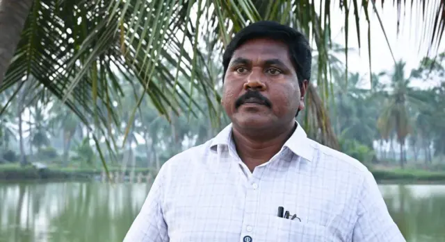కోకో పంట