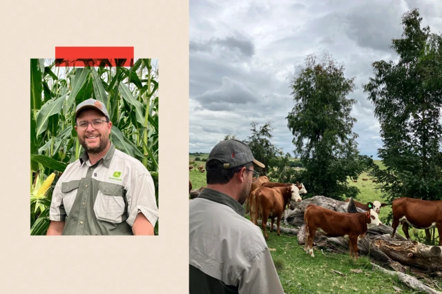 On di left, a close up shot of Lion du Plessis, and on di right, na image of am dey mind di cattle