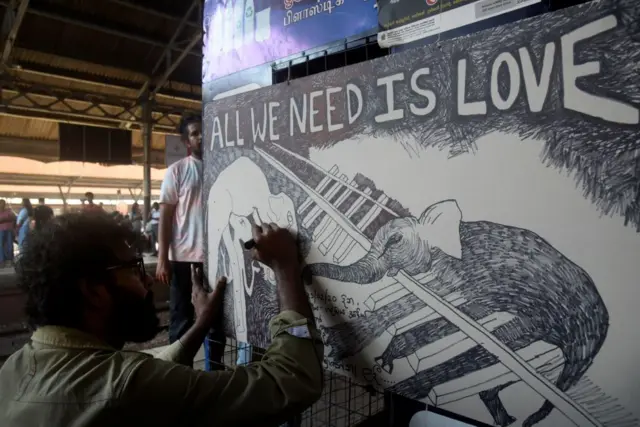 శ్రీలంక, ఏనుగులు