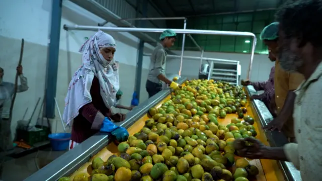 తోతాపురి