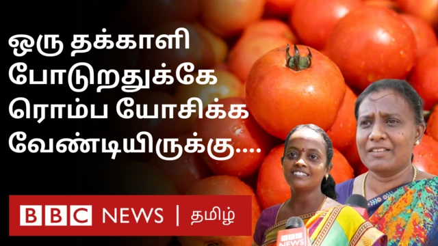 சரமாரியாக ஏறும் தக்காளி விலை - தமிழ்நாட்டு மக்கள் என்ன நினைக்கிறார்கள்?