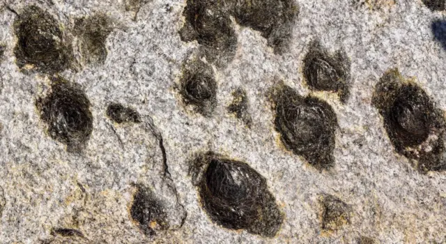 پرتگال پتھر