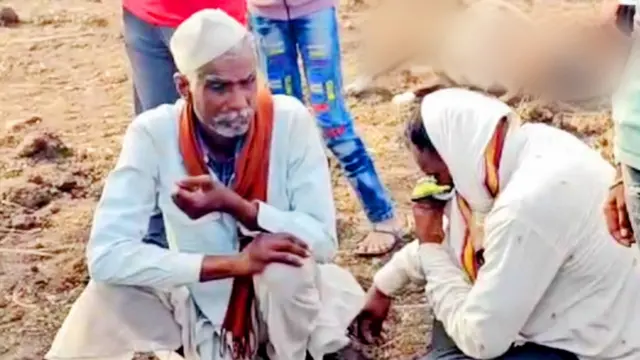 कुऱ्हा काकोड्यातील मेंढपाळ