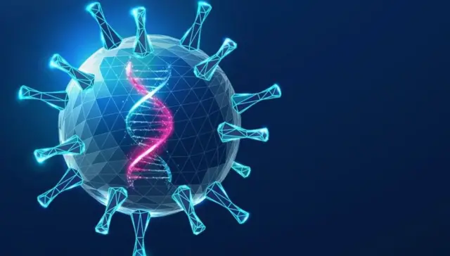 La thérapie génique utilise un virus pour « infecter » le foie d'Elliott avec de l'ADN contenant la capacité de fabriquer le facteur IX.