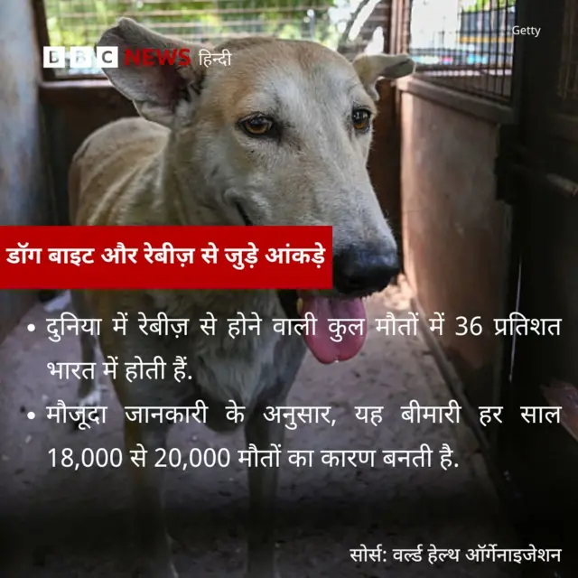 डॉग बाइट