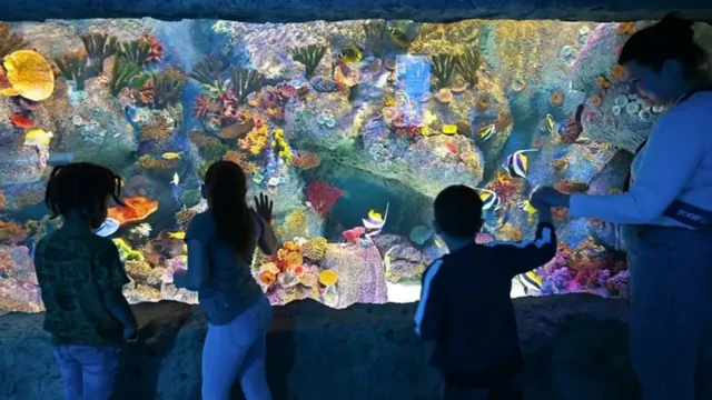 Qaar badan, ootiisamku waa qayb ka mid ah waayo-aragnimada aadanaha, ma aha wax u baahan in la daweeyo.